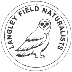 LFN logo